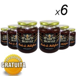 box-6-kg-miele-di-millefiori-vaso-di-vetro-1000g-apicoltura produzione-millefiori-vaso-di-vetro-1000g-borvei-miele