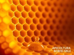 La Cera d’Api è Comedogenica? Può Ostruire i Pori della Pelle?