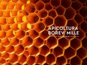 Perché le Celle dell’Alveare Sono Esagonali? La Perfezione Geometria Naturale